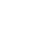 Auctions
